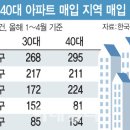 강남-268 이데일리