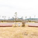 무안황토갯벌랜드 오토캠핑장 이미지