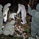 사체농장 이미지