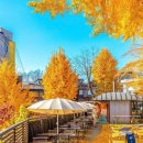 마포-현장-마포-1462 이미지