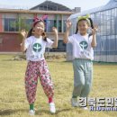 대교초교 이미지