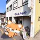 비너스사우나