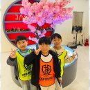 대호체육관 이미지