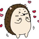 꿀쌈함흥면옥 이미지