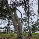 여인송빌리지 이미지