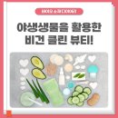 자연환경클린 이미지