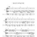 당신은 모르실거야 - 총보 이미지