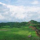 비무장지대 이미지