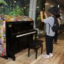 오차드식당 이미지