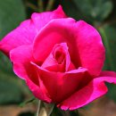 산청산골박물관 이미지