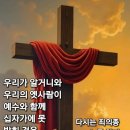 노릇 이미지