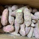 신해남농장 이미지