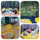 숲속꼬마어린이집 이미지