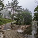 갯골자연휴양림 이미지