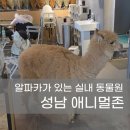 금광2동제1공영주차장 | 애니멀존 성남 실내 동물원 돌아기와 다녀온 후기