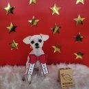 땡자네 묭실 이미지