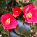 산속농장 이미지