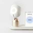 인튜이션 이미지