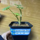 해냄공부방 - 북구 서변로9길 5-7 | 해냄공부방