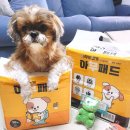 아무도 없개 이미지