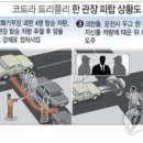 트리플리