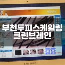 참빗 2호점 | 부천피부관리 크린브레인 두피스케일링 및 뇌파촉진요법 후기