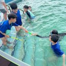 BHC 인제점 이미지