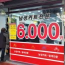 나이스가이푸른