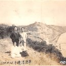 양녕대군과 정향(丁香) 이미지