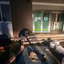 경주초등학교 이미지