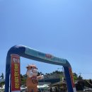 로컬푸드직매장 | 태안 캠핑 필수코스 ㅣ 태안로컬푸드직매장 수산물 장보기 후기(반건조우럭구이 추천)