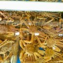 감동대게2호점 이미지