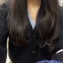 야당미용실 헤어제이벨 여자머리 잘하는 곳 벨원장 컷트 후기