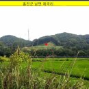 뉴서울성모의원 이미지