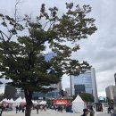 호스텔 부산역하우스 | 부산 호스텔 추천 부산역 숙소 게스트하우스 첵앤아웃