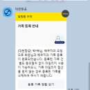 에코 켄넬 | 2025년 07월