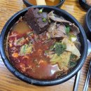 온리-커피스케치-곶자왈도립공원-33떡볶이-제주영어교육도시-애월한담해안산책로-포시즌호텔-은희네해장국