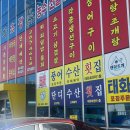 팔딱팔딱도매횟집 | 울산 농수산물도매시장 횟집 풍어수산 봄도다리 모듬회 솔직후기