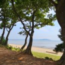 한들민박 이미지