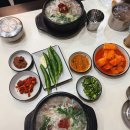 태평 | 광화문 맛집, 태평순대 내돈내산 솔직후기