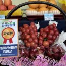 으뜸 농산물 이미지