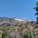 인앤아웃마켓코리아 이미지