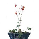 부부공인중개사사무소 이미지