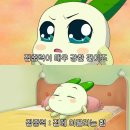 아앰브레드 이미지