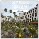 99.9 호텔 | 제주도 숙소 제주 롯데호텔 샤롯데 패밀리트윈 총정리!