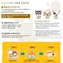 제이엠 동물병원 | <반려동물 등록제> 레오 종합백신과 반려동물등록제 (내장형) 등록하기 - 일산 제이엠동물병원 추천 후기