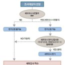 지면강의 - 변호사 사무실 세금탈루 세무조사 사건 - 1 이미지