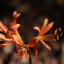 중앙공원(상) 이미지