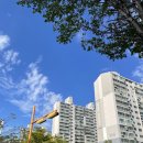 아우어네일 이미지