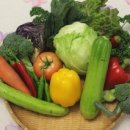 국가대표 드림플러스 태권도 이미지